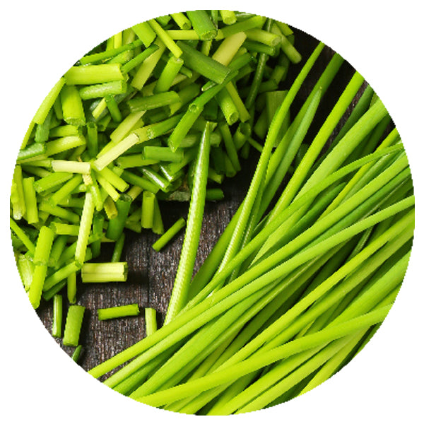Freeze-Dried Chives Cut