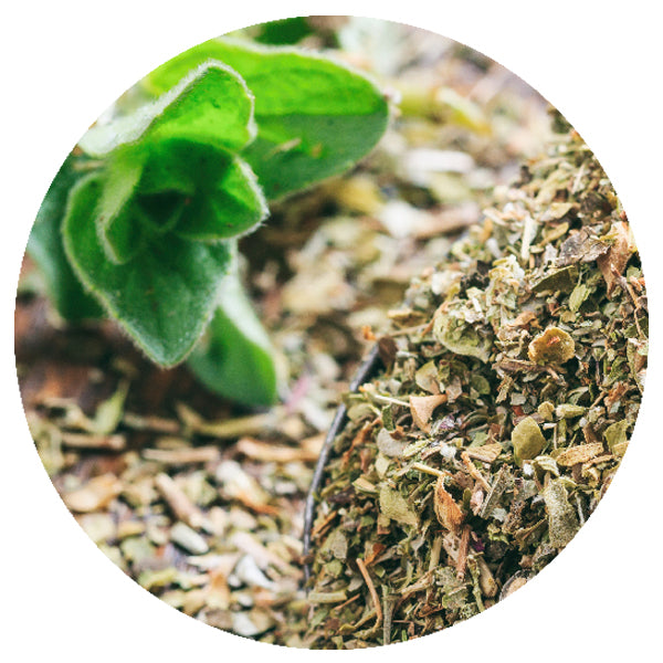 Freeze-Dried Oregano Cut